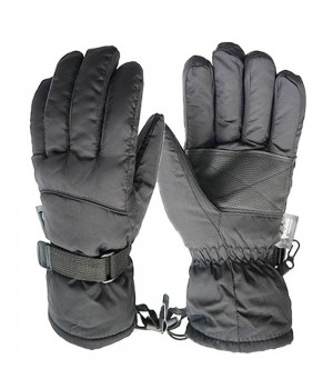 Ski Gloves
