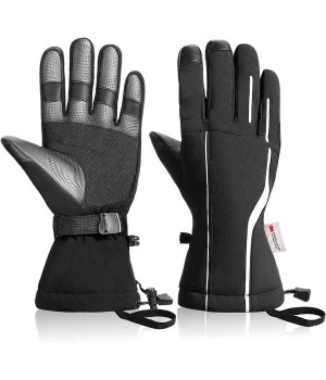 Ski Gloves