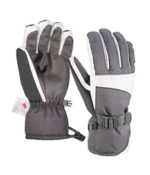 Ski Gloves
