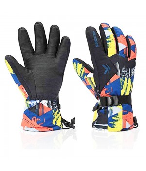 Ski Gloves